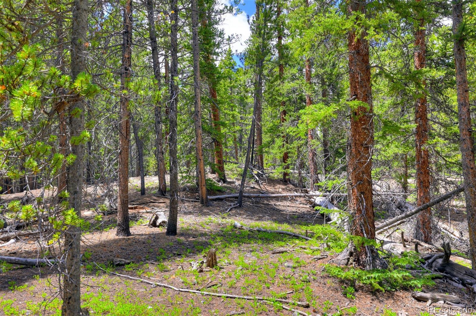 2221 Kootchie Kootchie Road Fairplay CO 80440