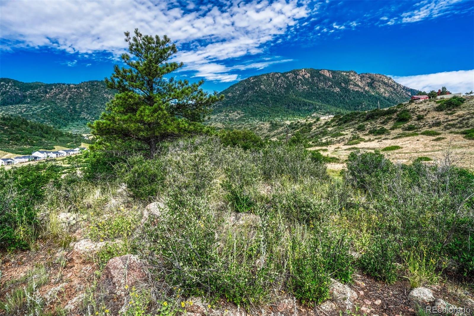 4166 Mesa Top Drive Monument CO 80132