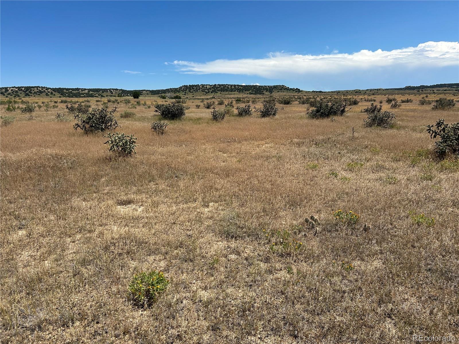 Lot 4 Outback Ranch Model CO 81059
