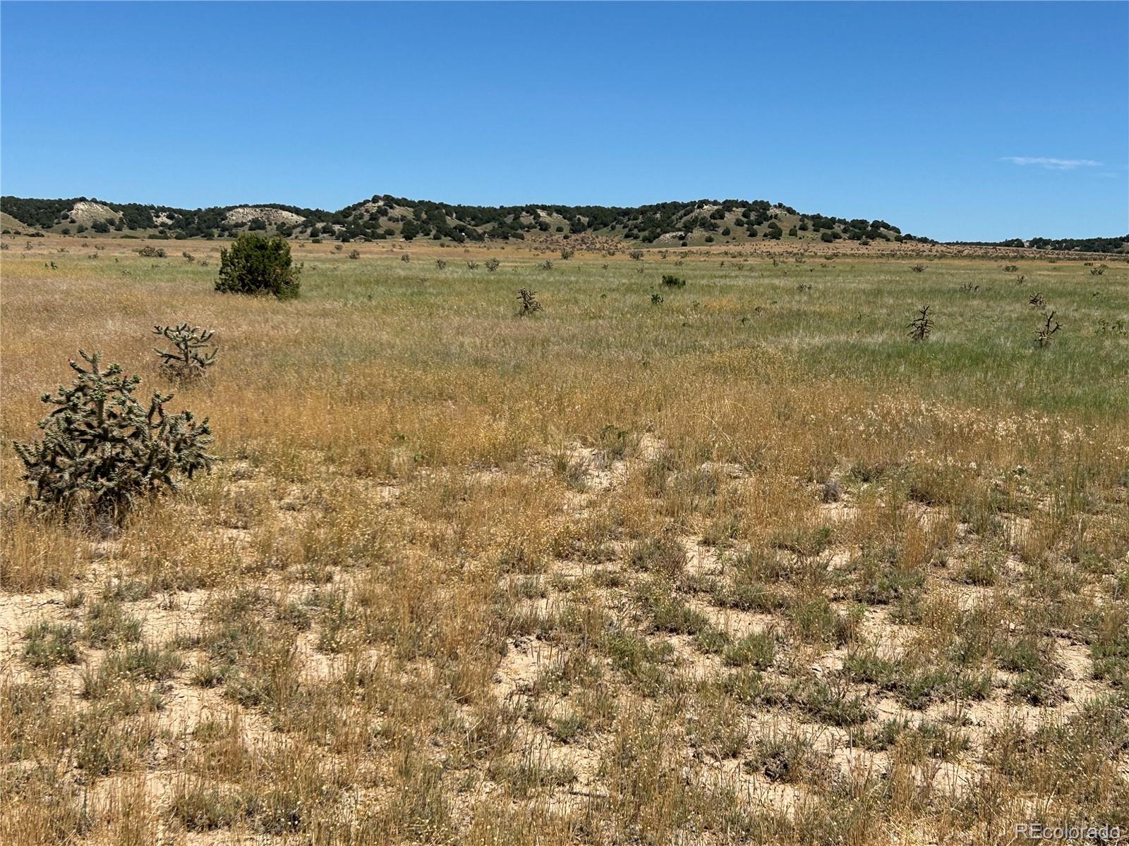 Lot 4 Outback Ranch Model CO 81059