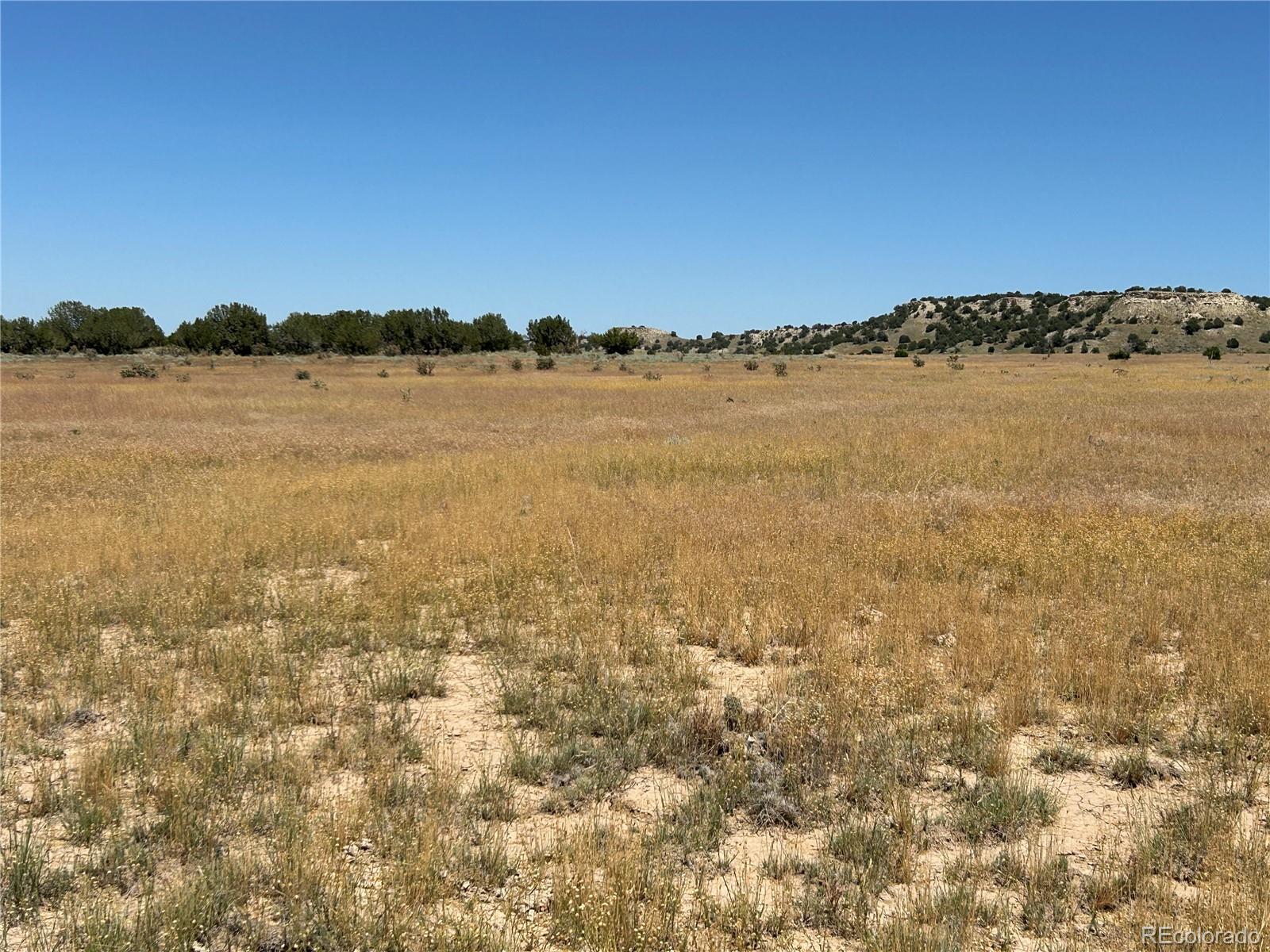 Lot 4 Outback Ranch Model CO 81059