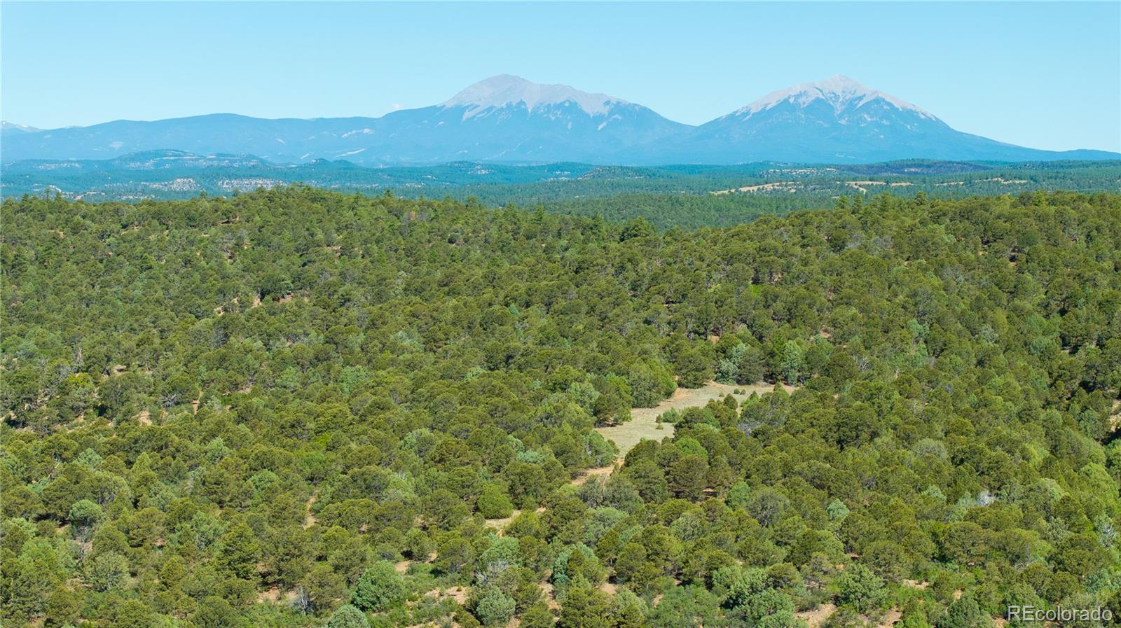 15536 Ponderosa Loop Boncarbo CO 81024