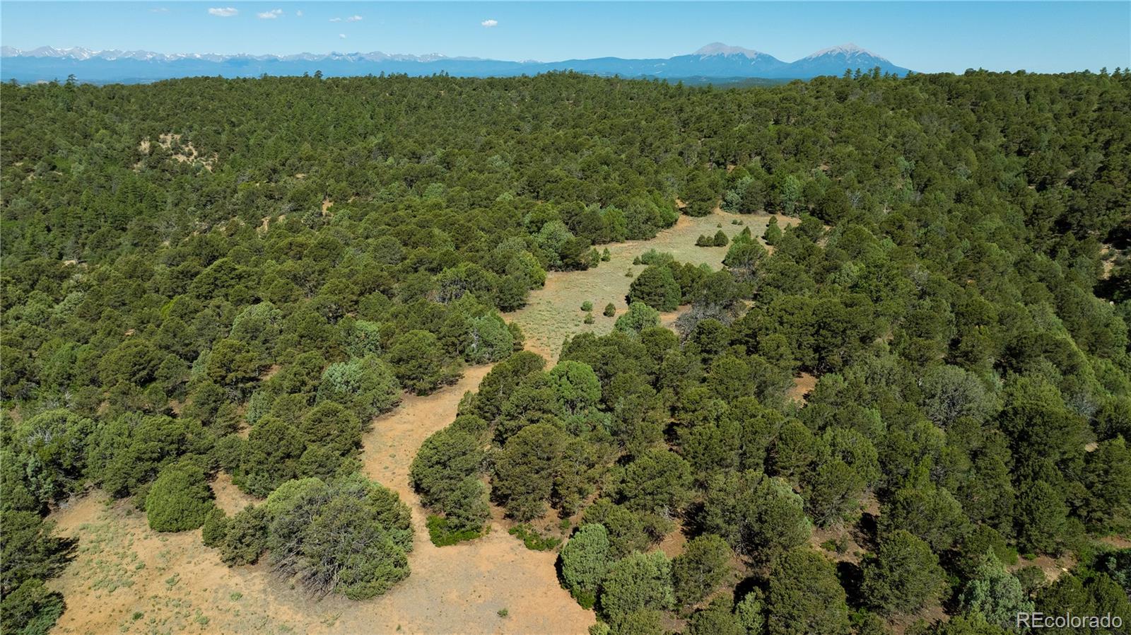 15536 Ponderosa Loop Boncarbo CO 81024