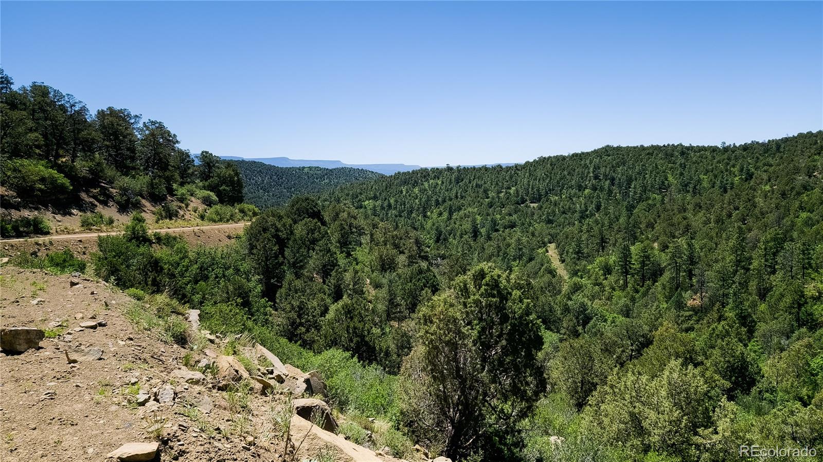 15536 Ponderosa Loop Boncarbo CO 81024