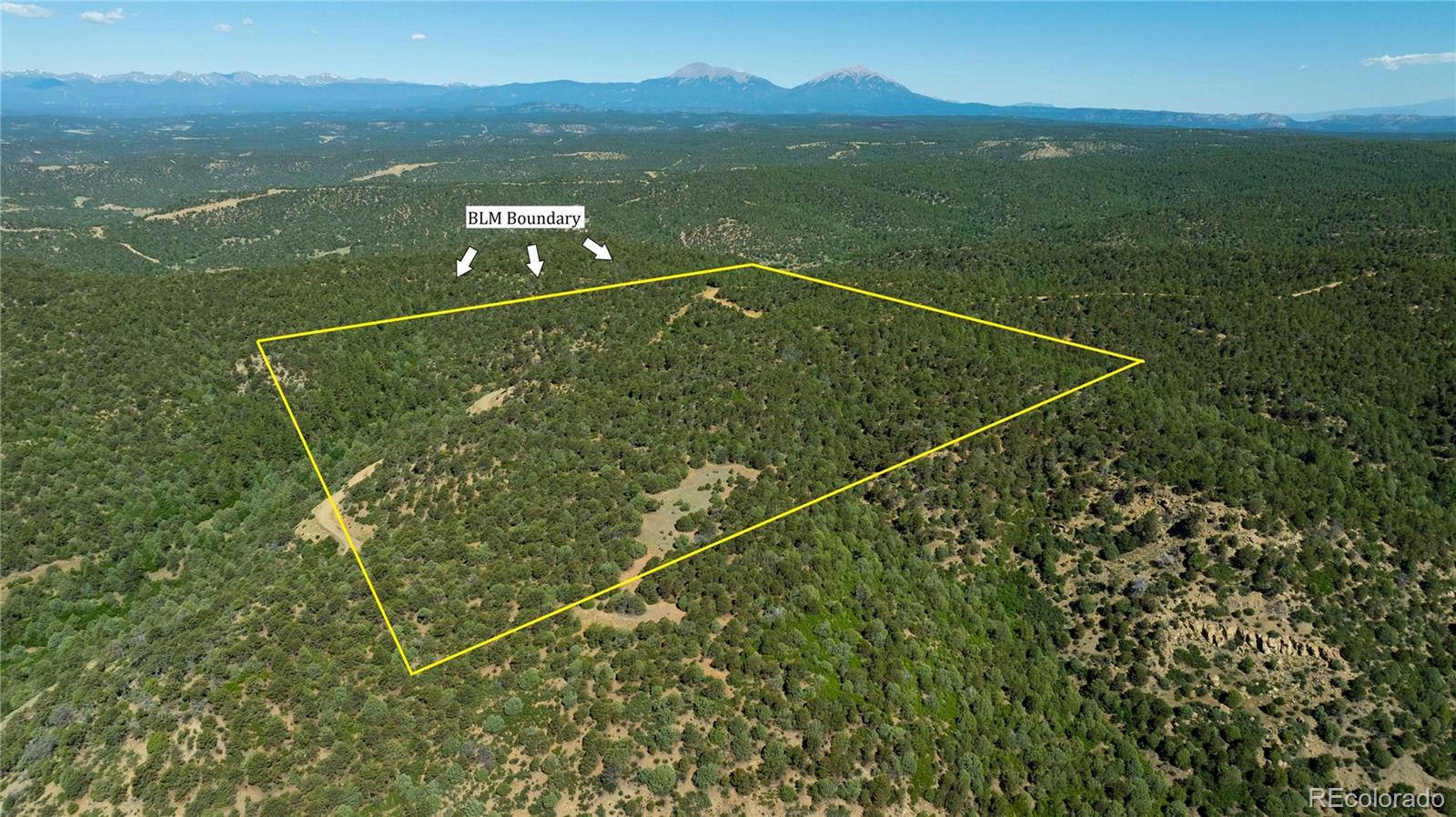 15536 Ponderosa Loop Boncarbo CO 81024