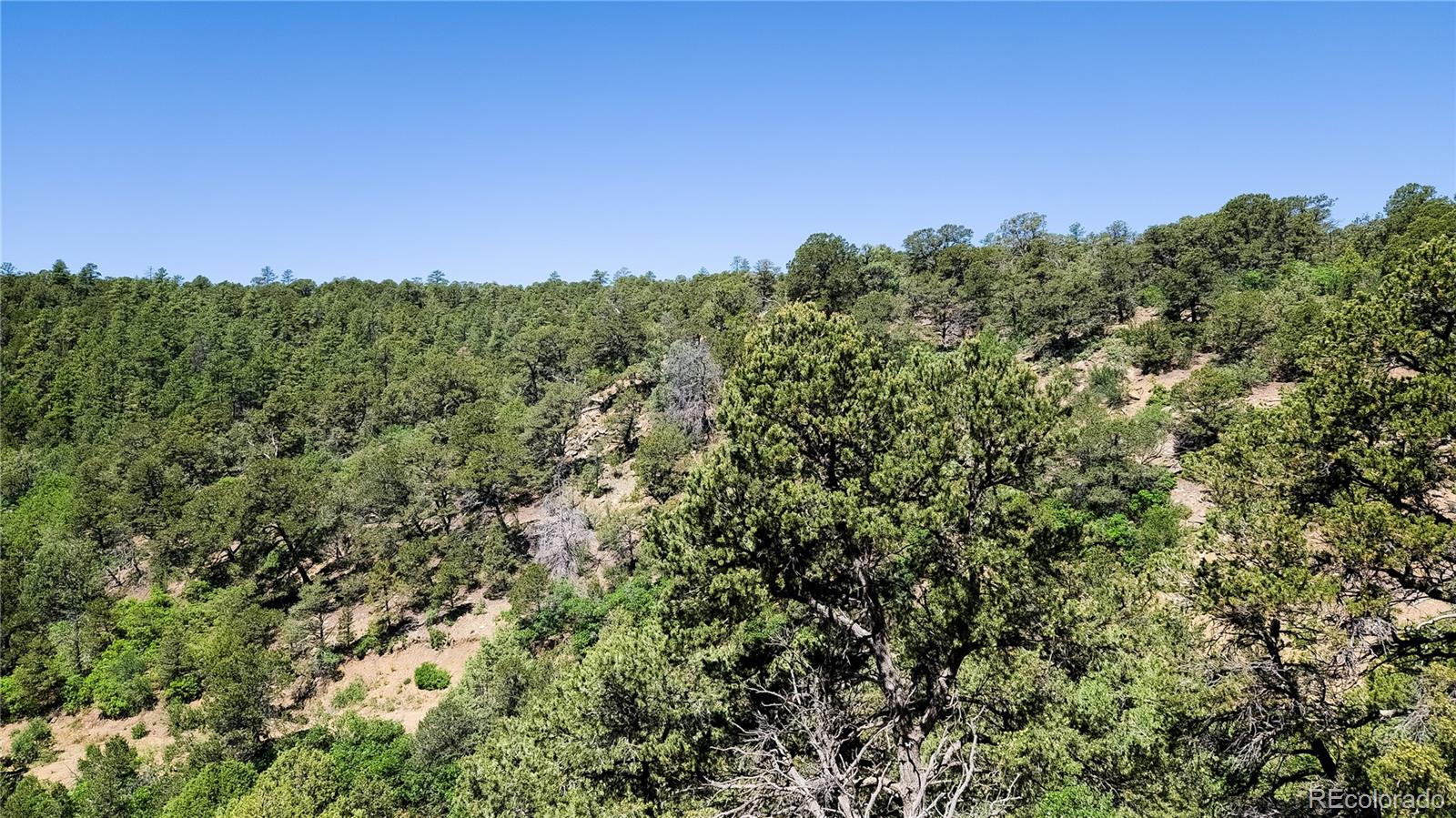 15536 Ponderosa Loop Boncarbo CO 81024