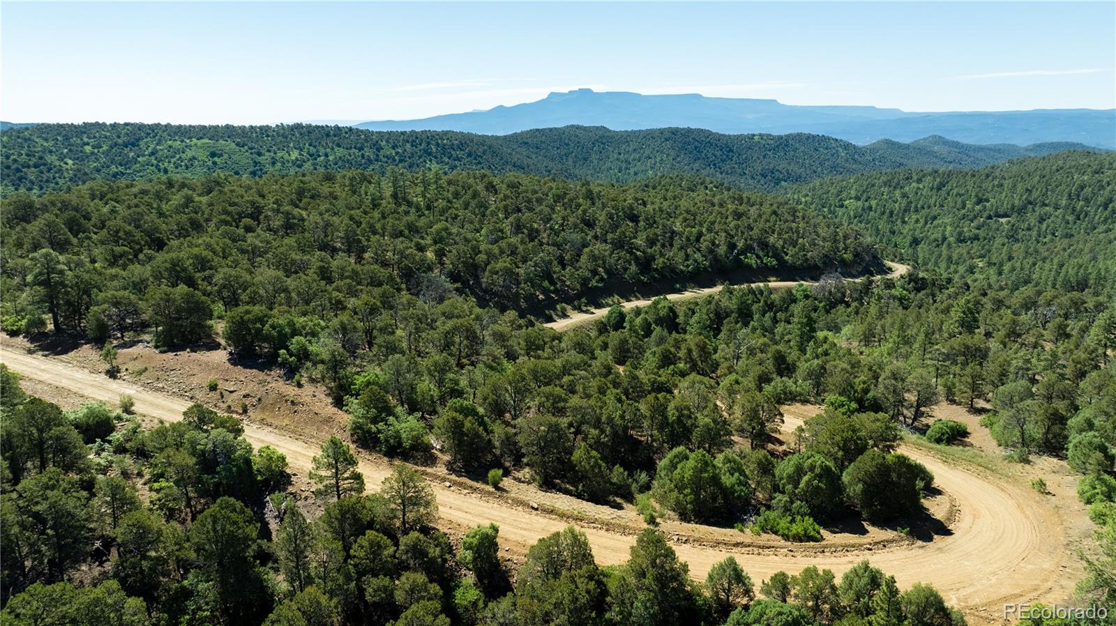 15536 Ponderosa Loop Boncarbo CO 81024