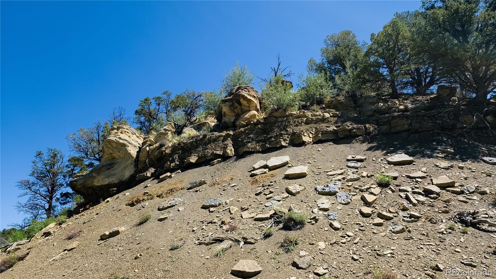 15536 Ponderosa Loop Boncarbo CO 81024