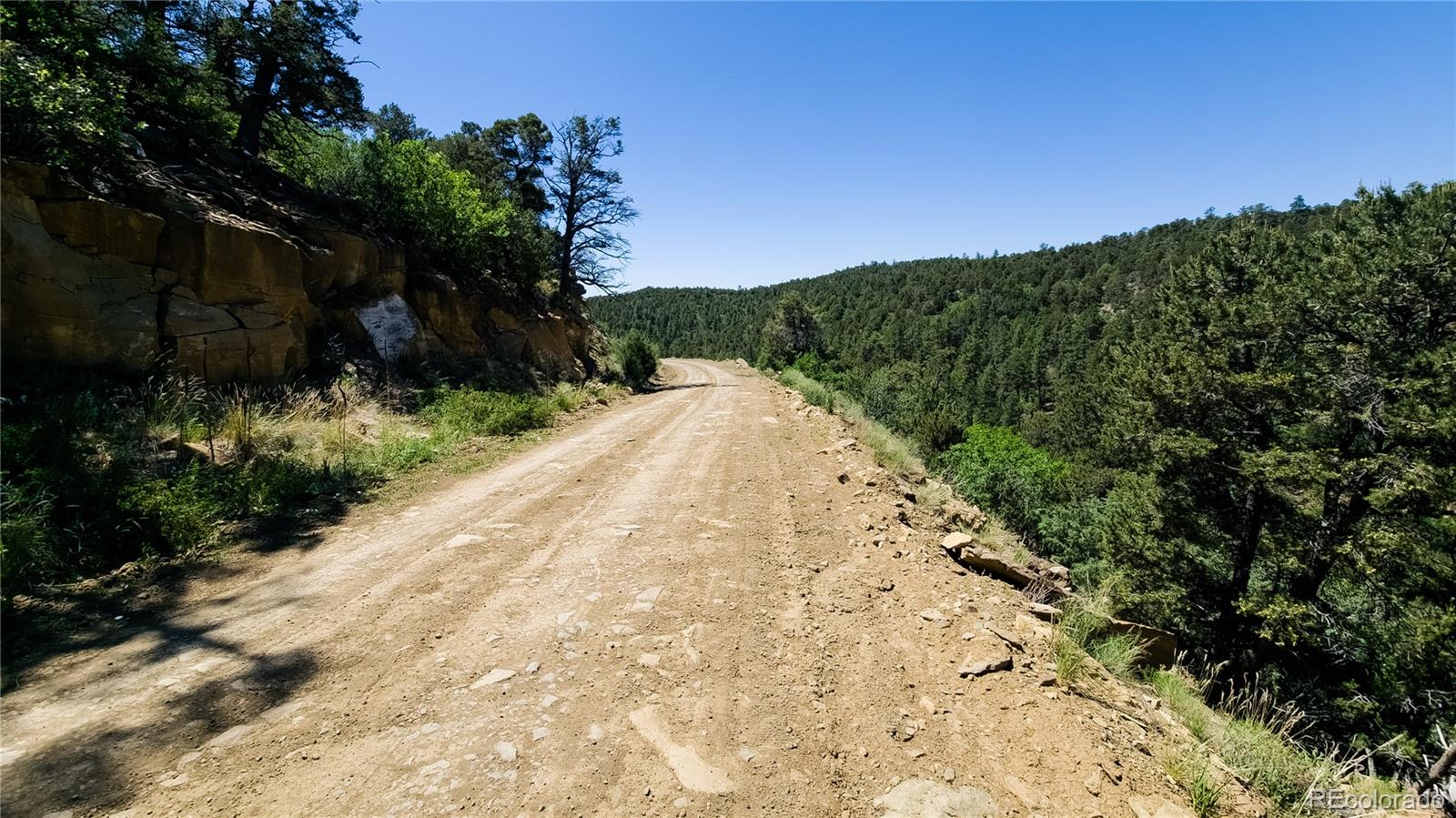 15536 Ponderosa Loop Boncarbo CO 81024
