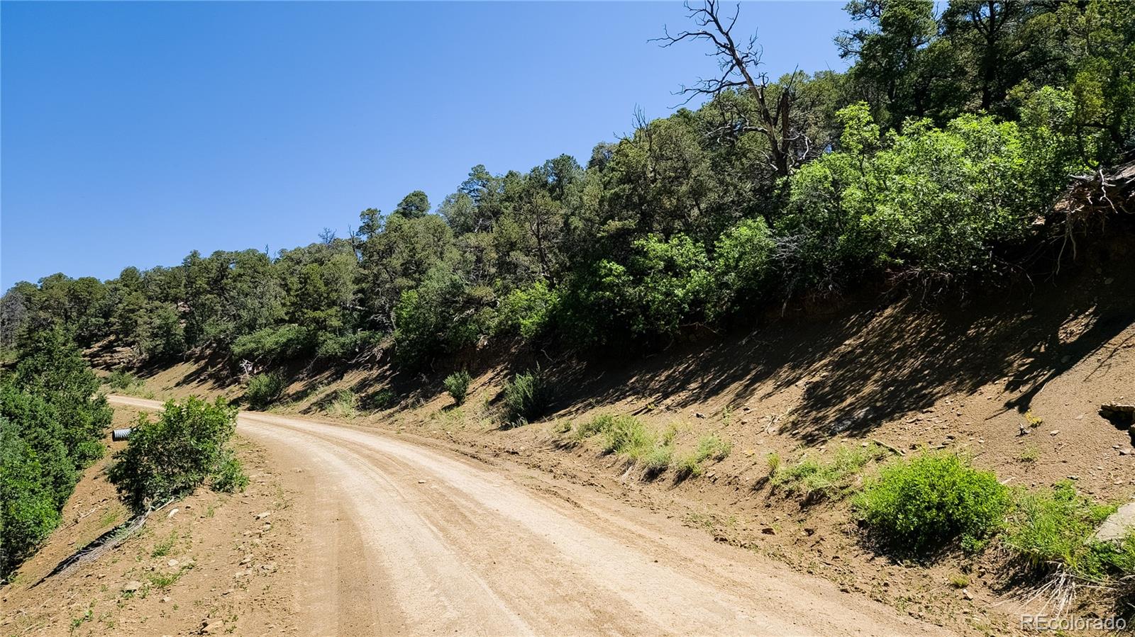 15536 Ponderosa Loop Boncarbo CO 81024