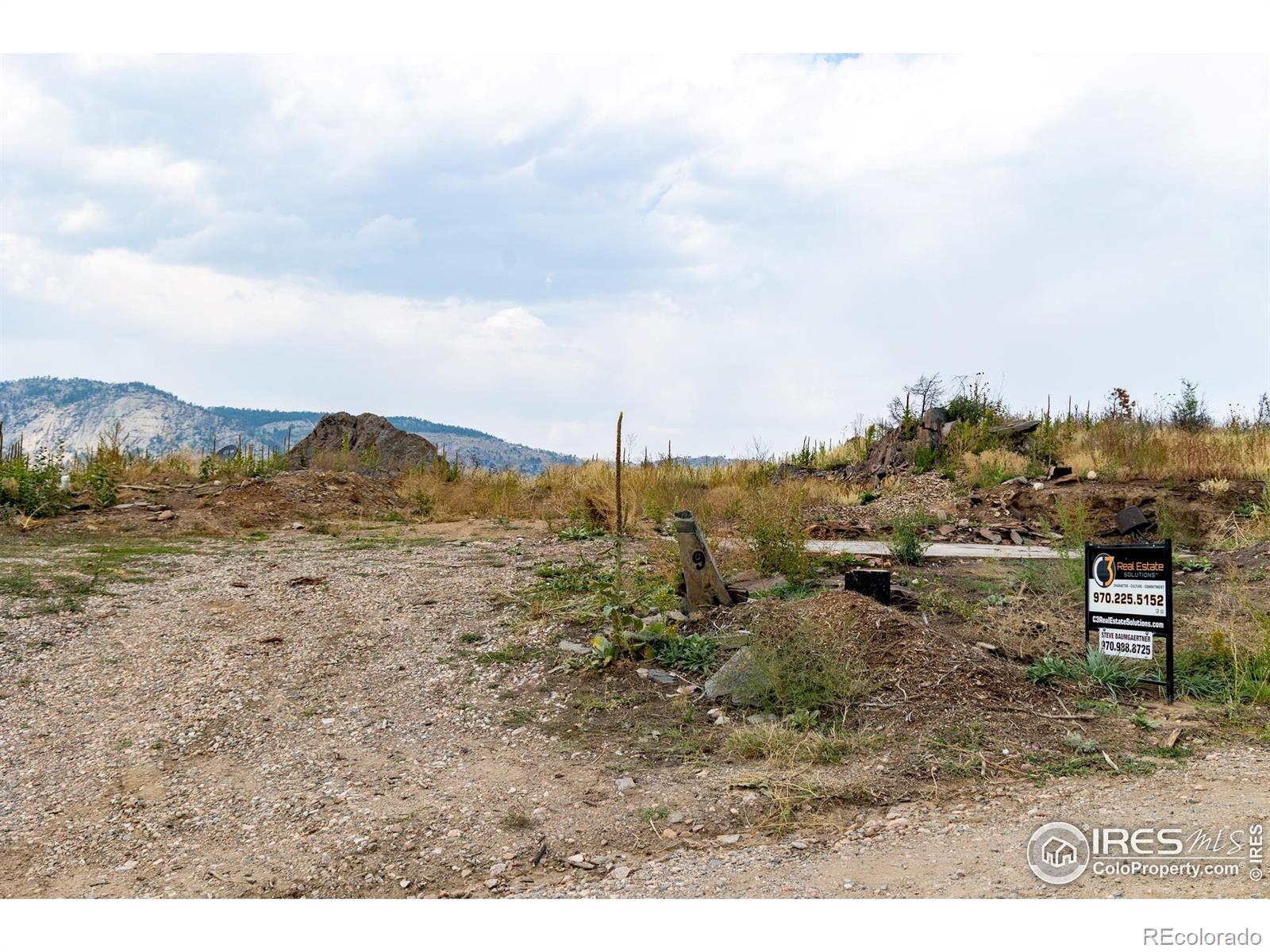 981 Palisade Mountain Drive Drake CO 80515