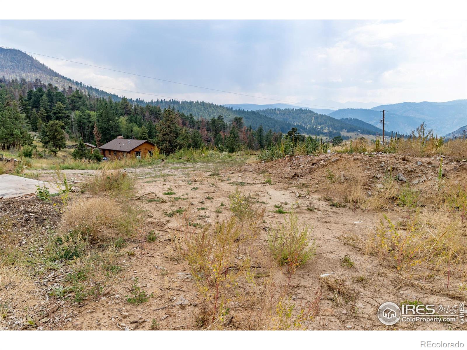 981 Palisade Mountain Drive Drake CO 80515