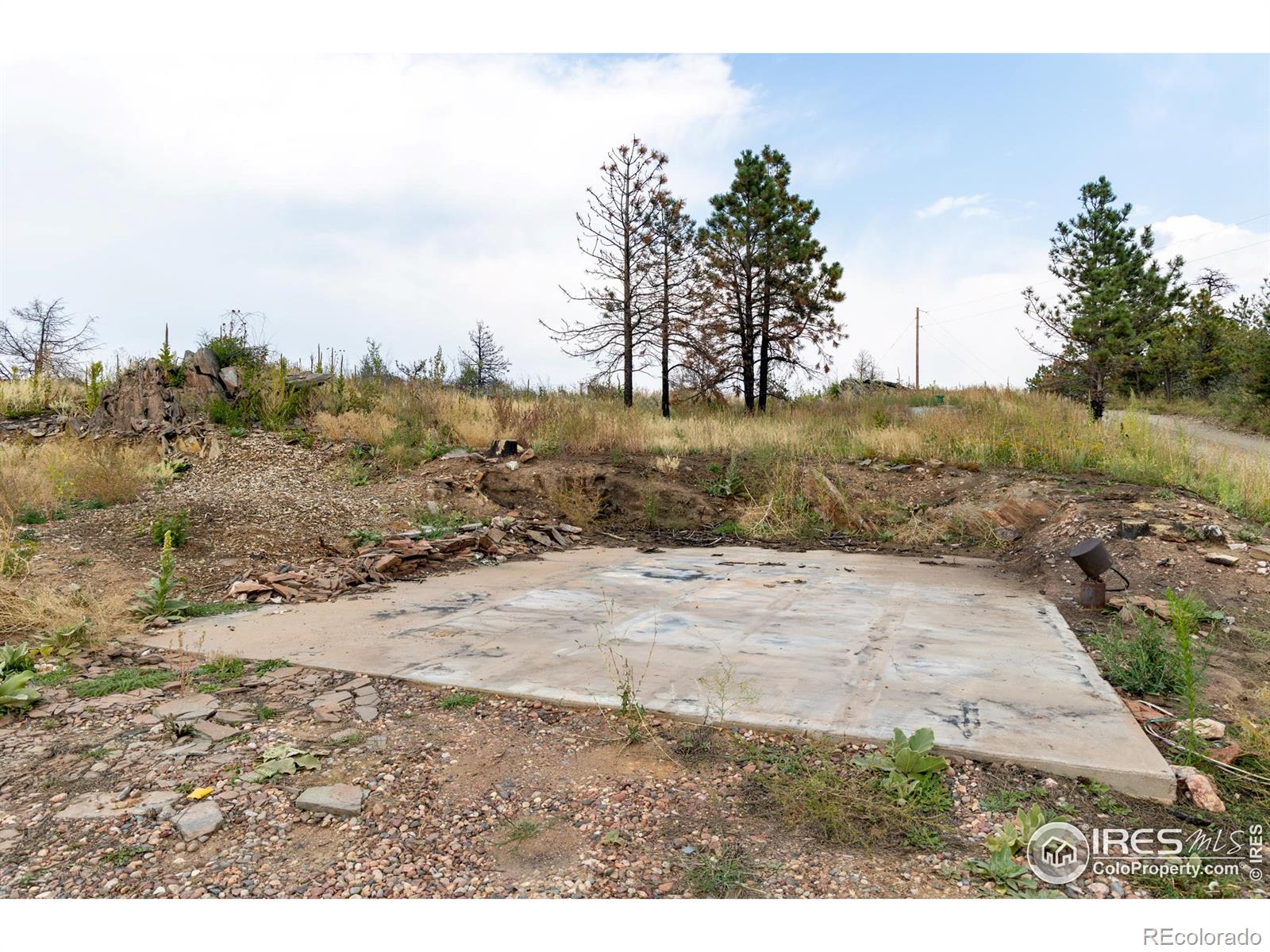 981 Palisade Mountain Drive Drake CO 80515