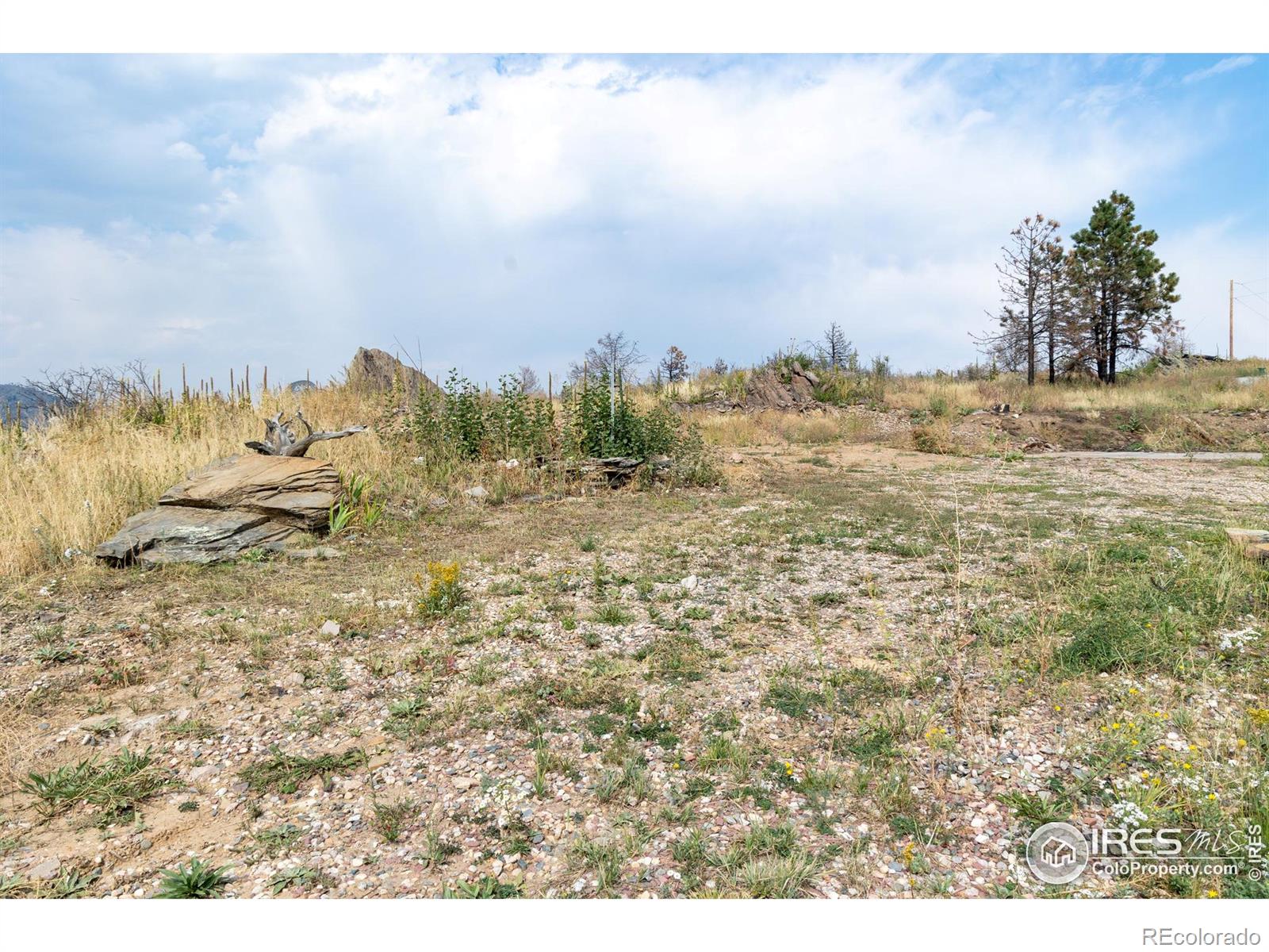 981 Palisade Mountain Drive Drake CO 80515