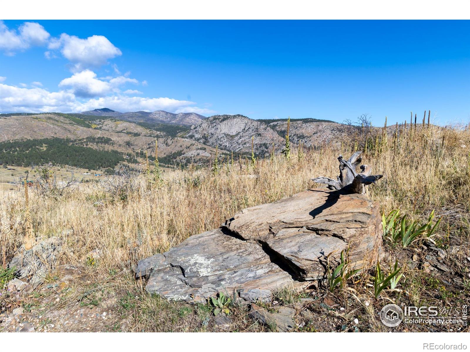 981 Palisade Mountain Drive Drake CO 80515