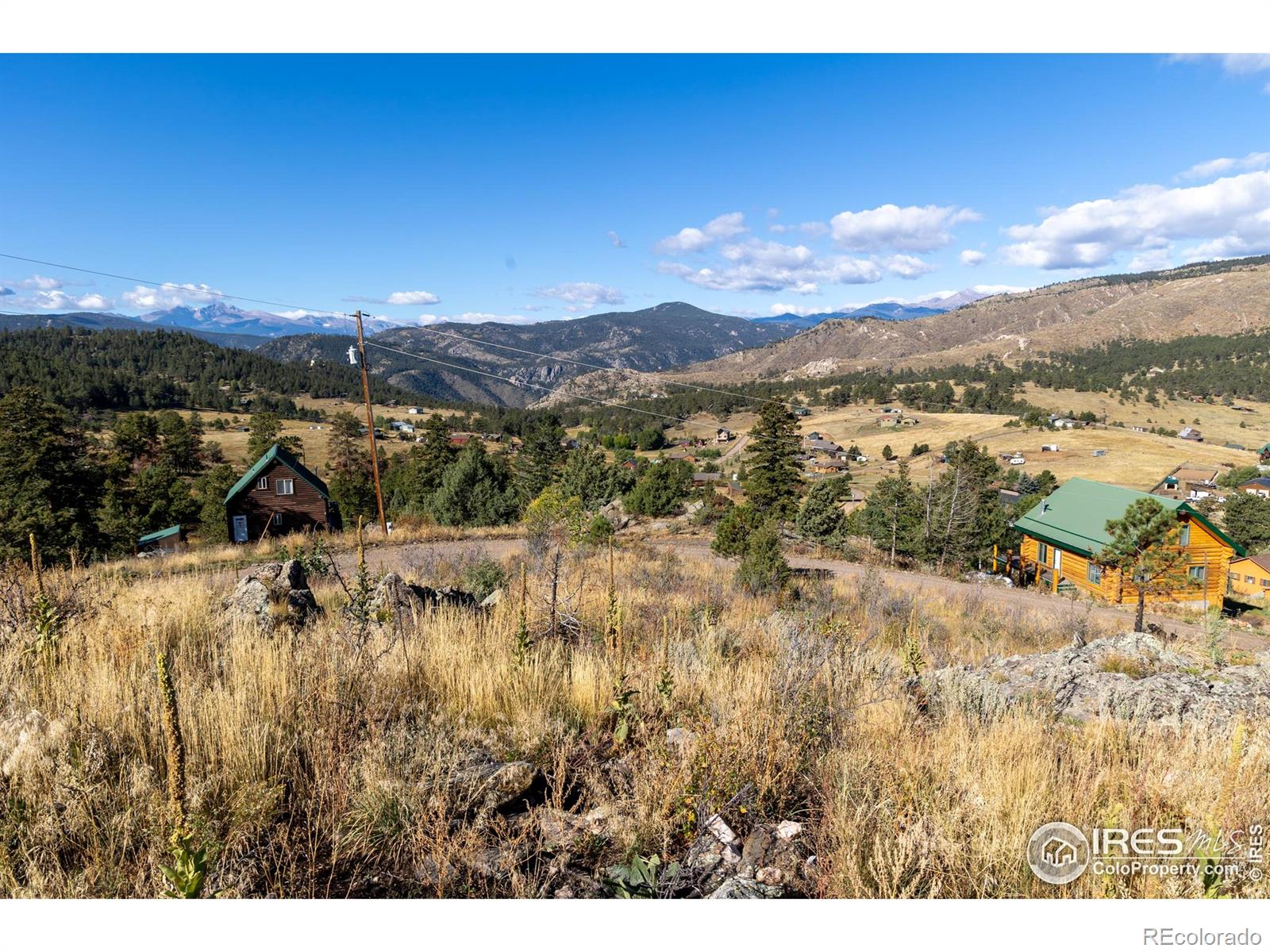 981 Palisade Mountain Drive Drake CO 80515
