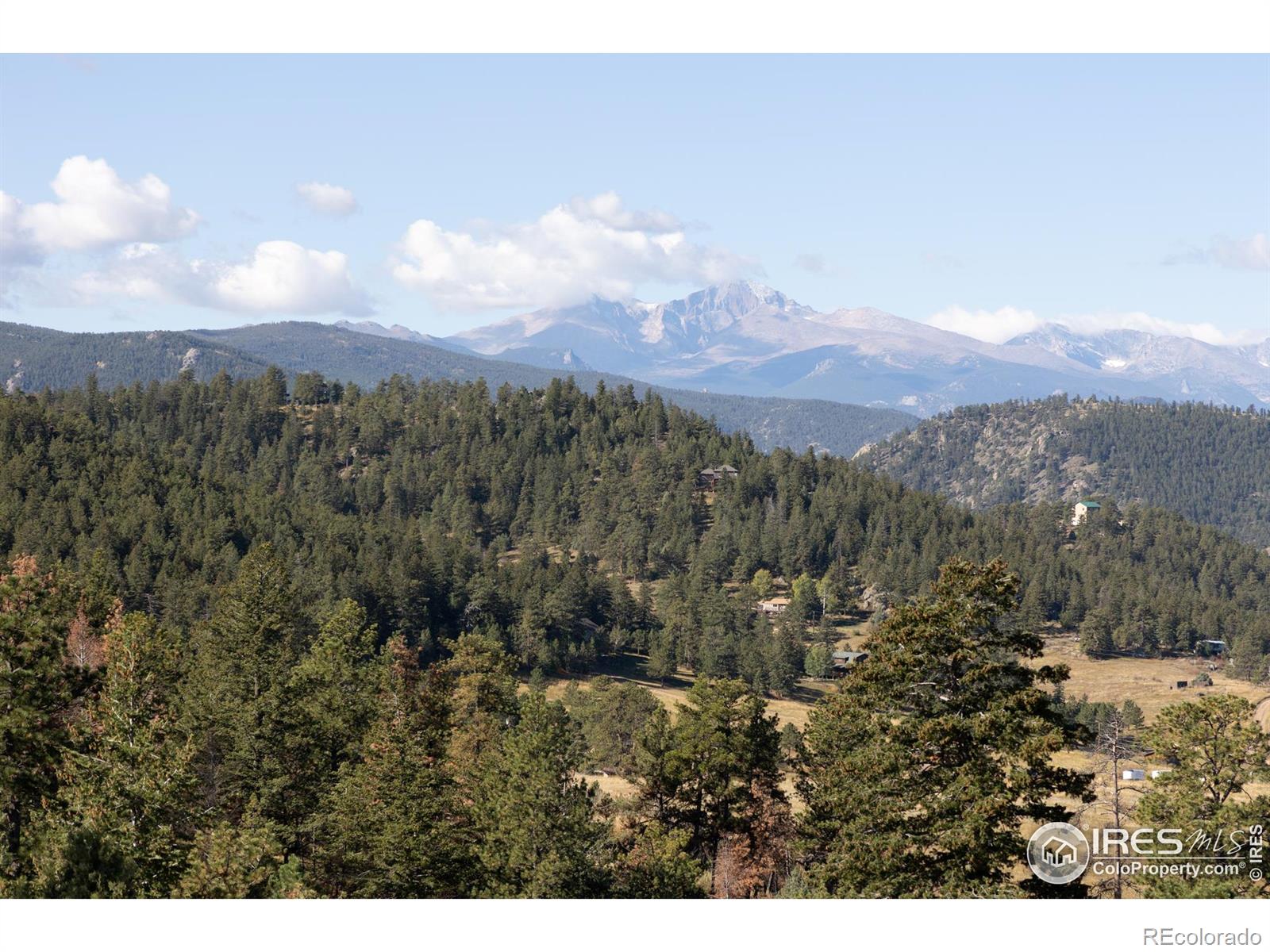 981 Palisade Mountain Drive Drake CO 80515