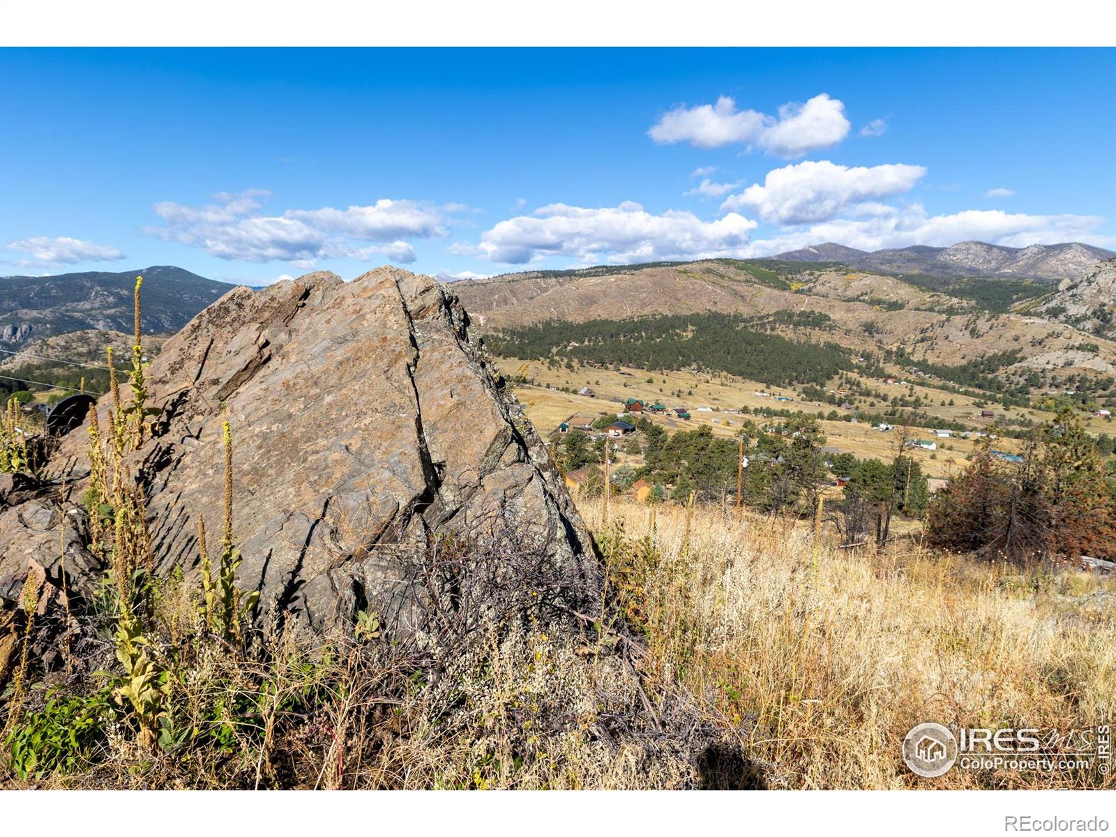 981 Palisade Mountain Drive Drake CO 80515