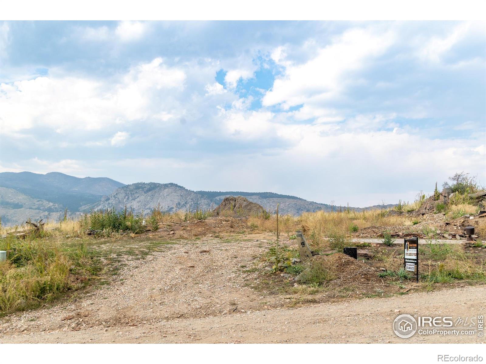 981 Palisade Mountain Drive Drake CO 80515