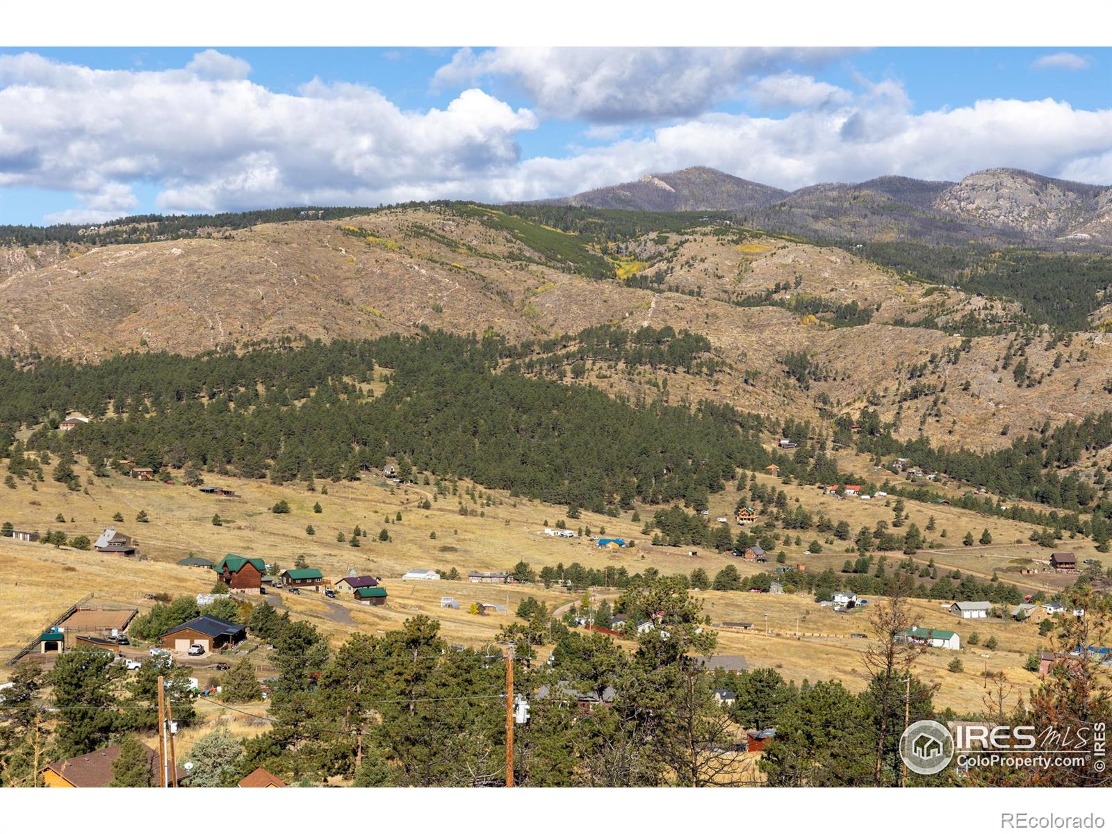 981 Palisade Mountain Drive Drake CO 80515