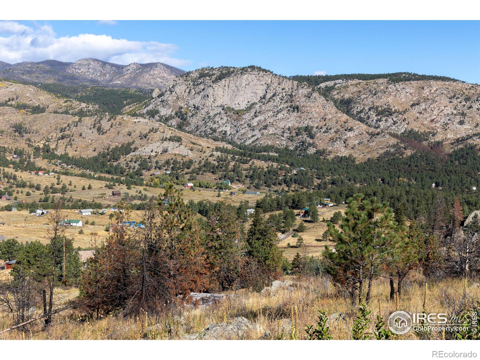 981 Palisade Mountain Drive Drake CO 80515