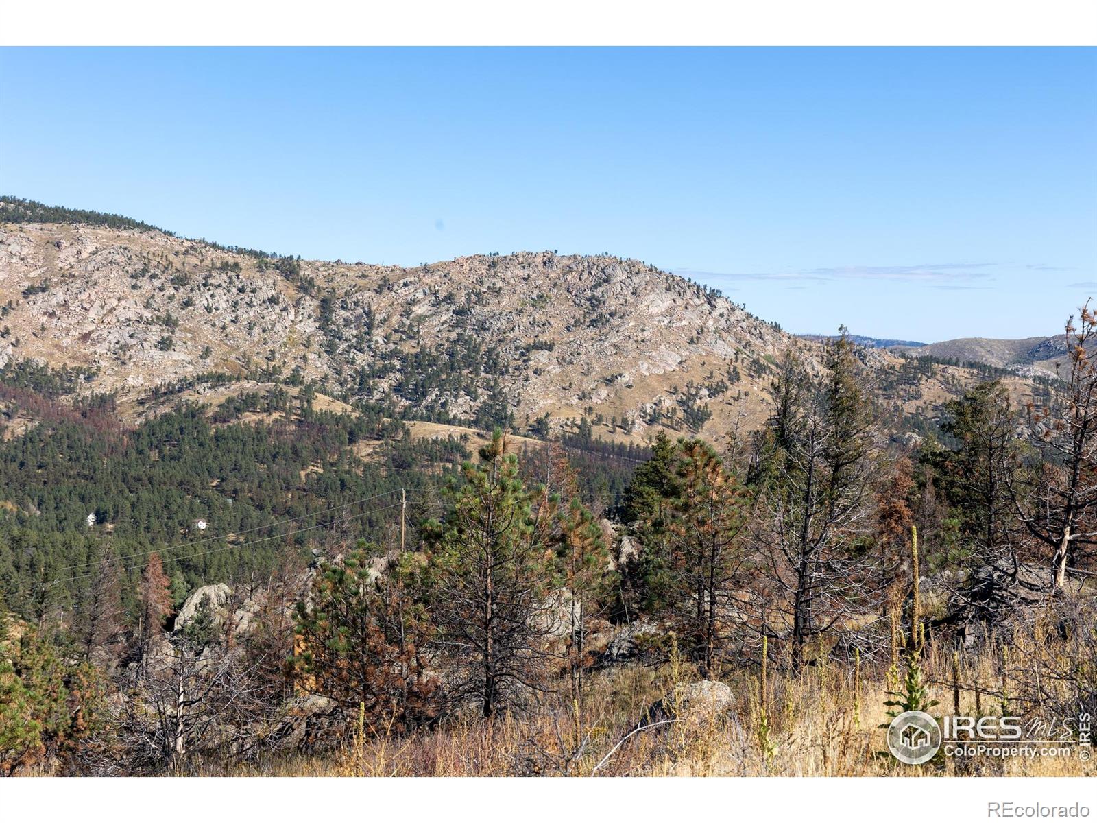 981 Palisade Mountain Drive Drake CO 80515