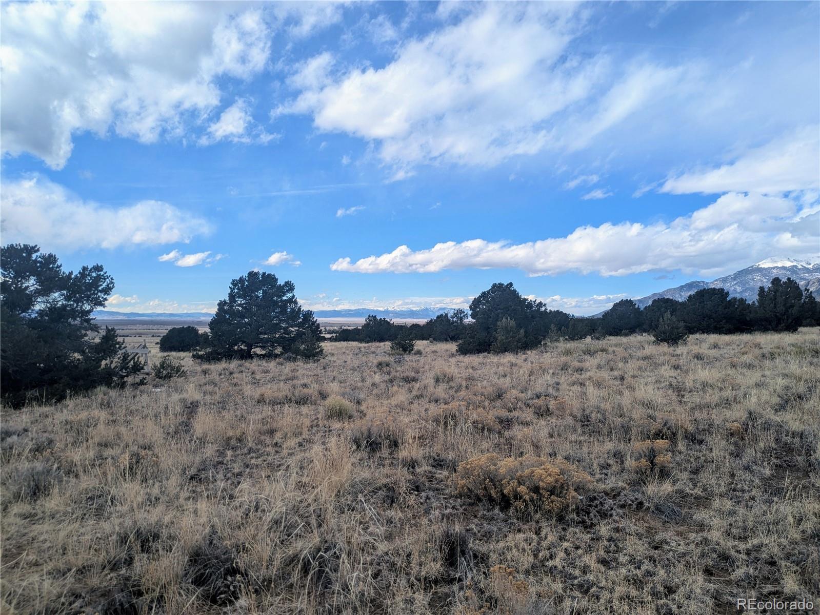 3288 Camino Del Rey Crestone CO 81131