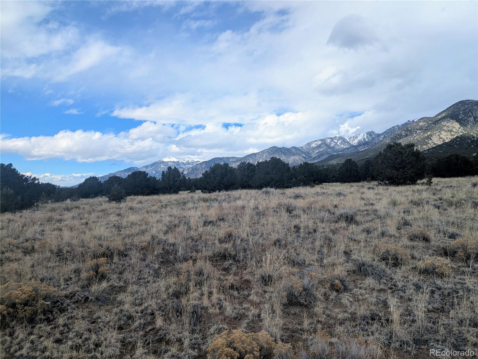 3288 Camino Del Rey Crestone CO 81131
