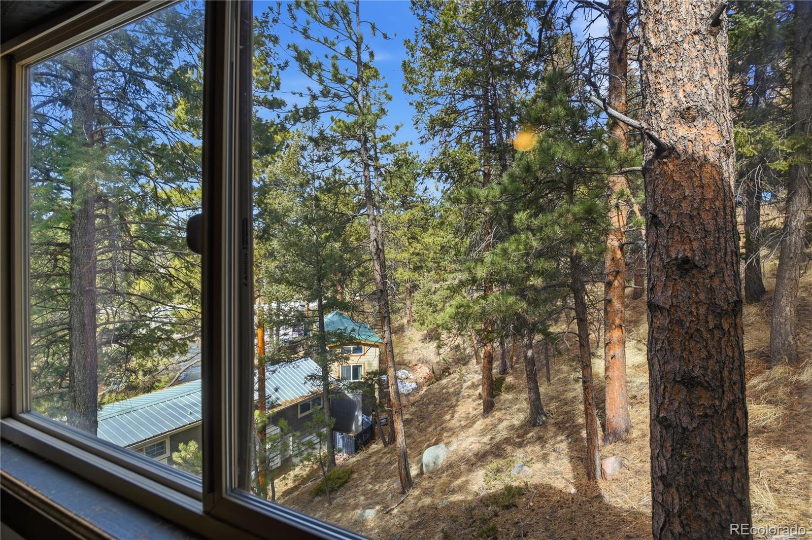 19253 E Us Highway 24 Woodland Park CO 80863