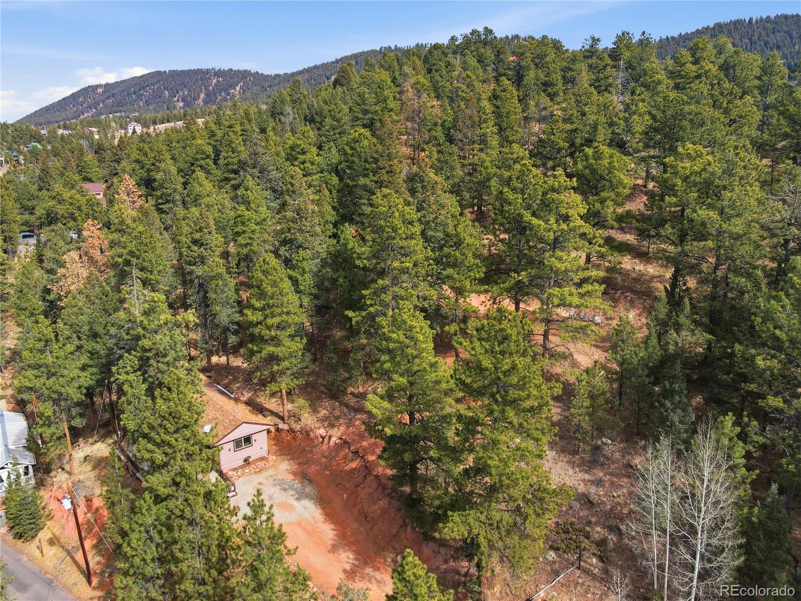 19253 E Us Highway 24 Woodland Park CO 80863