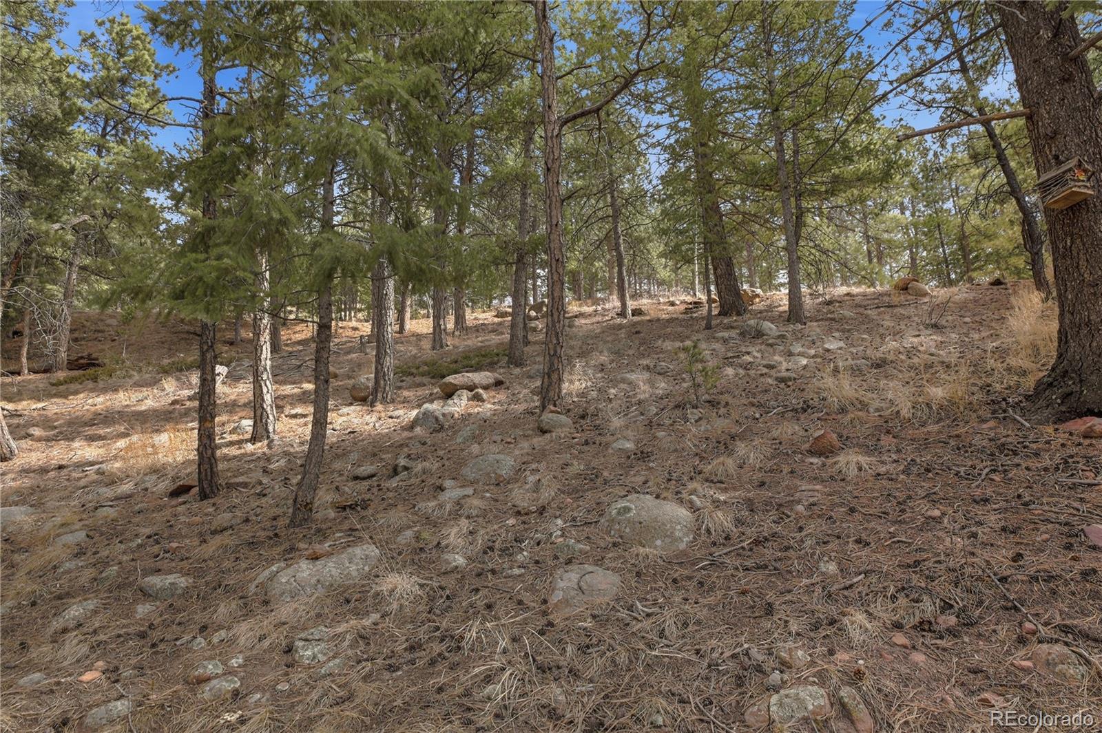 19253 E Us Highway 24 Woodland Park CO 80863