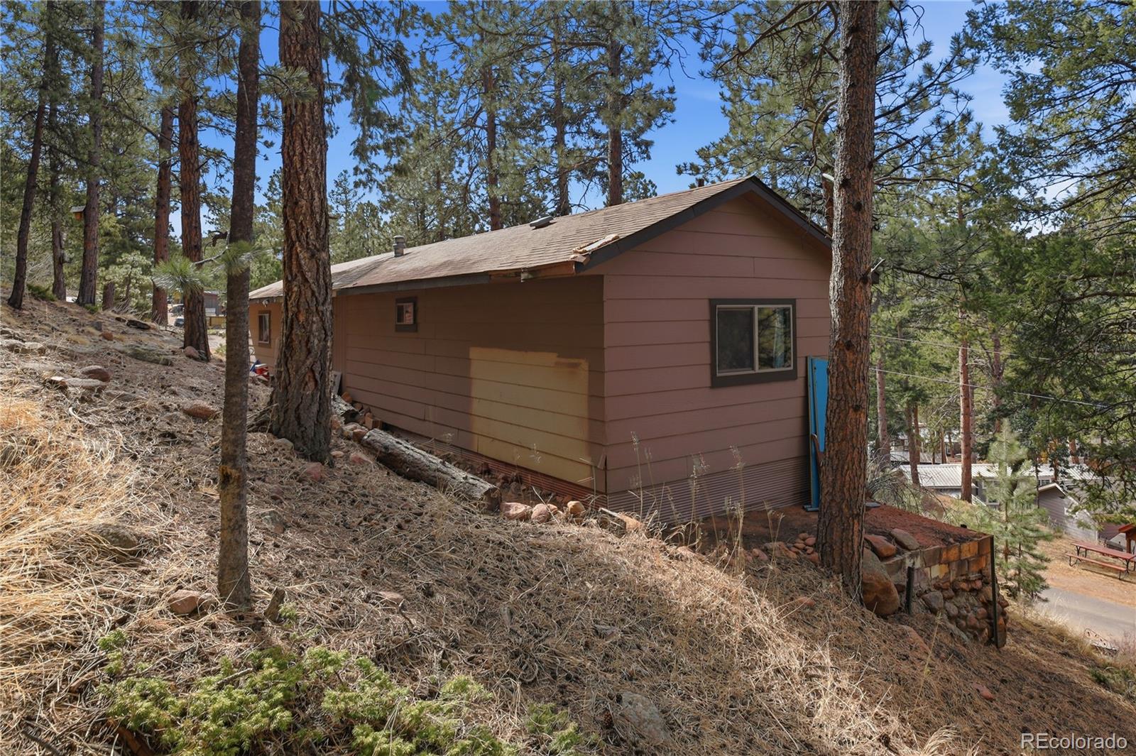 19253 E Us Highway 24 Woodland Park CO 80863