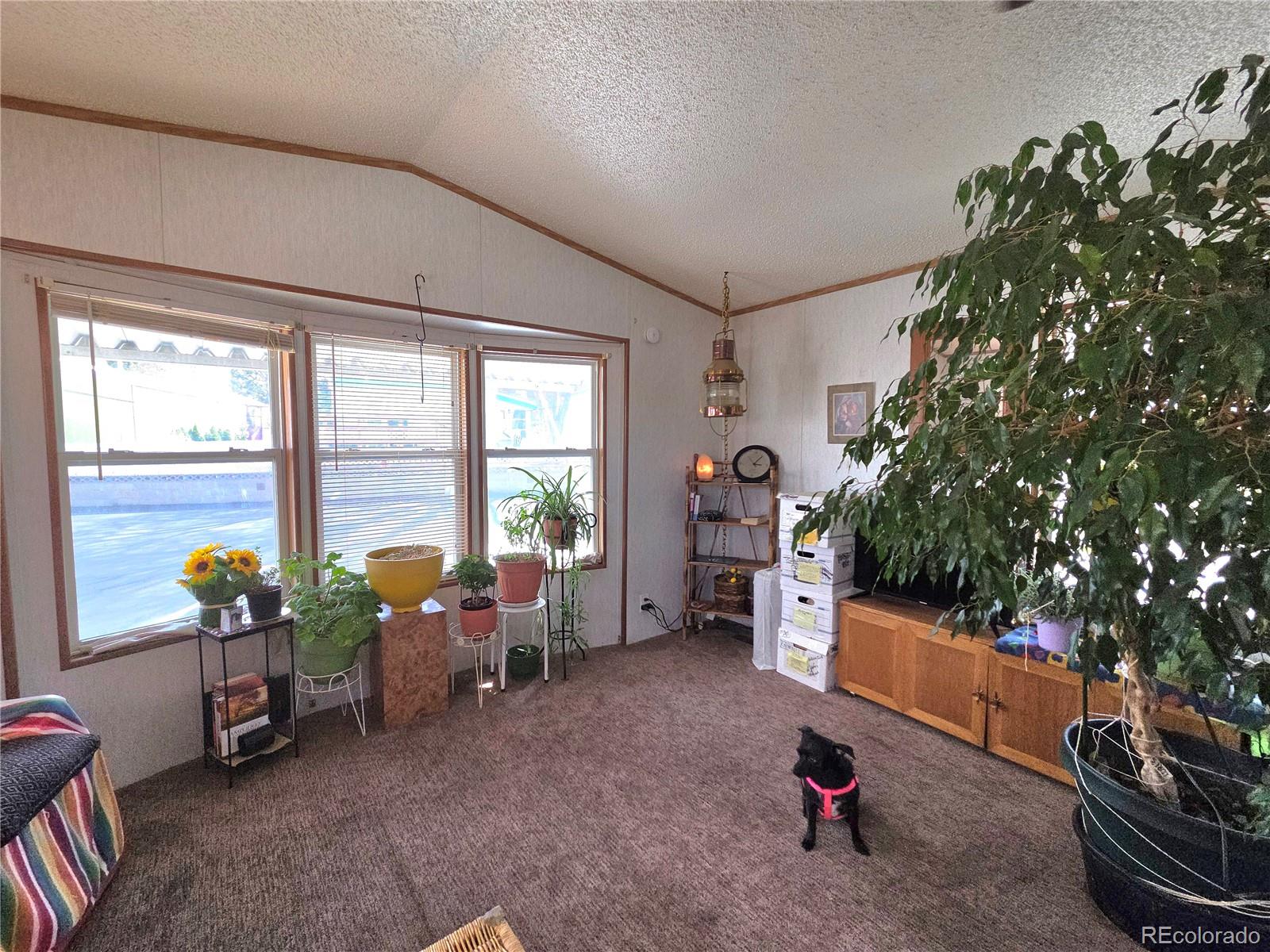 6825 Mississippi Avenue Lakewood CO 80226