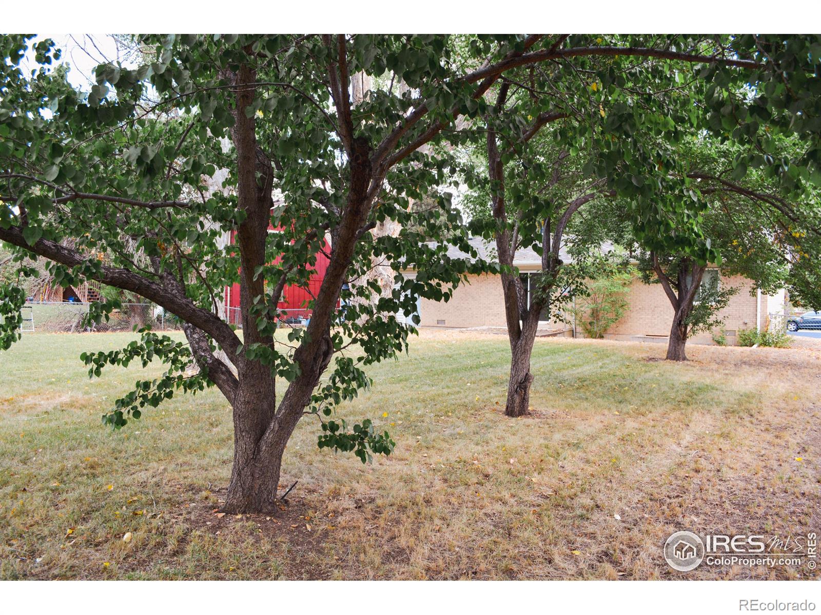 805 Gallup Road Fort Collins CO 80521