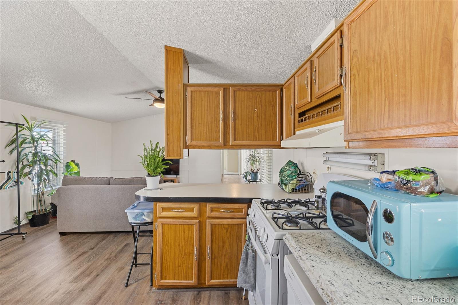 1029 Caroline Court Loveland CO 80537