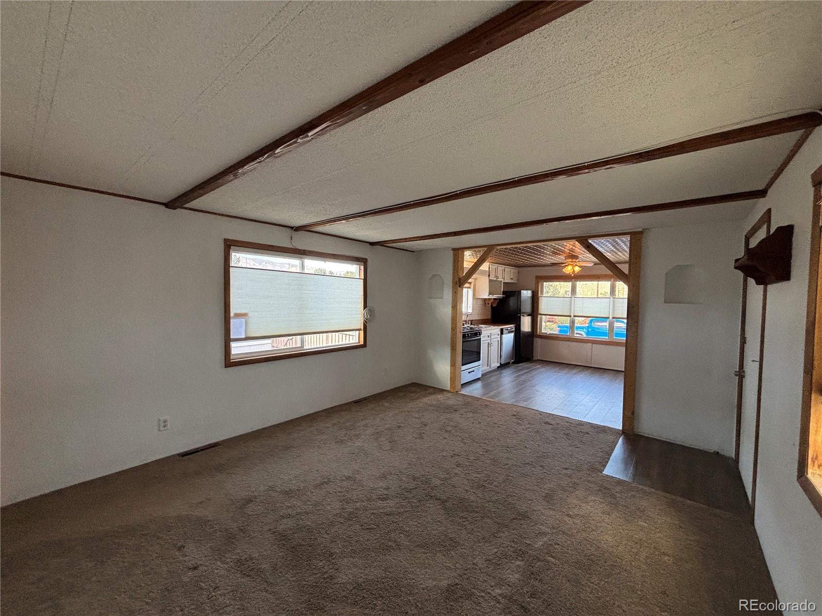 29600 County Road 353 Buena Vista CO 81211