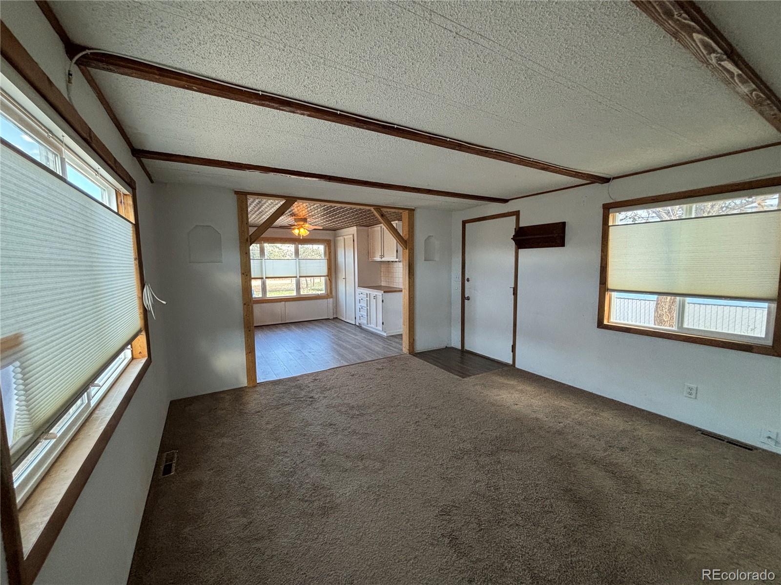29600 County Road 353 Buena Vista CO 81211