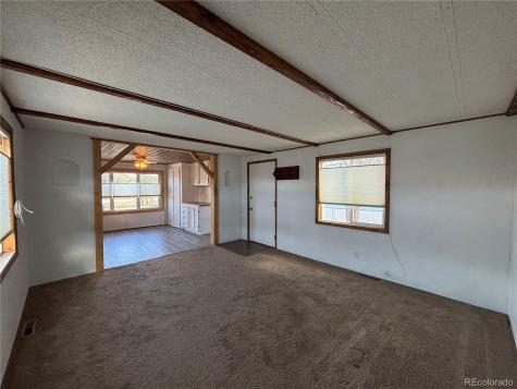 29600 County Road 353 Buena Vista CO 81211
