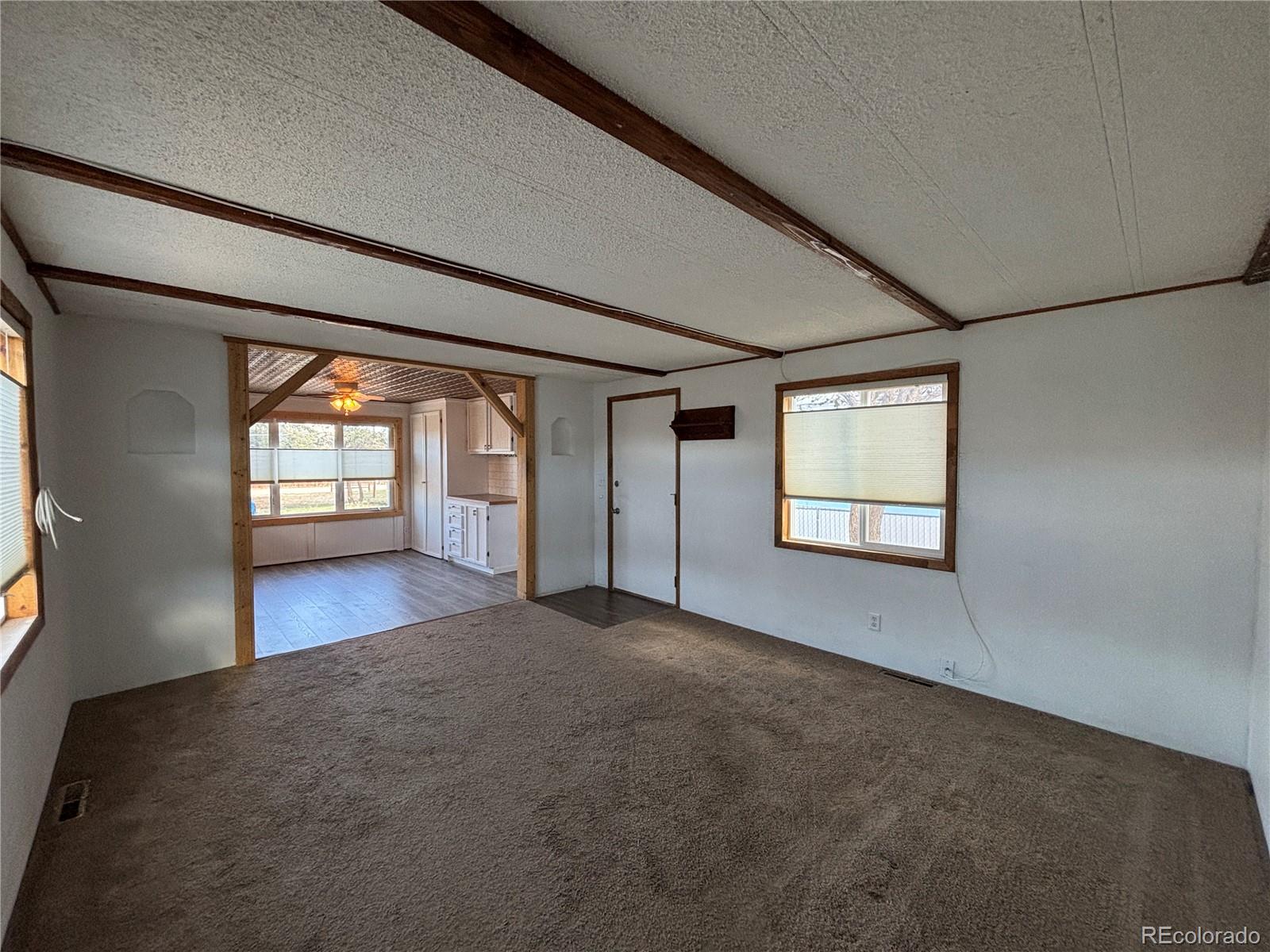 29600 County Road 353 Buena Vista CO 81211