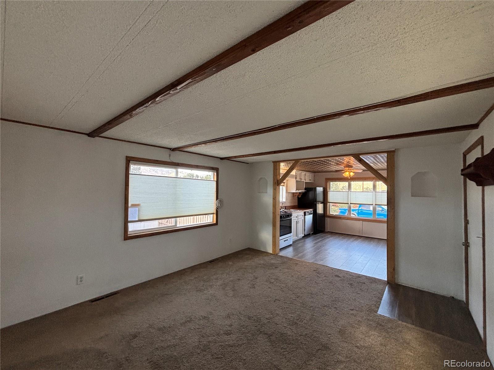 29600 County Road 353 Buena Vista CO 81211
