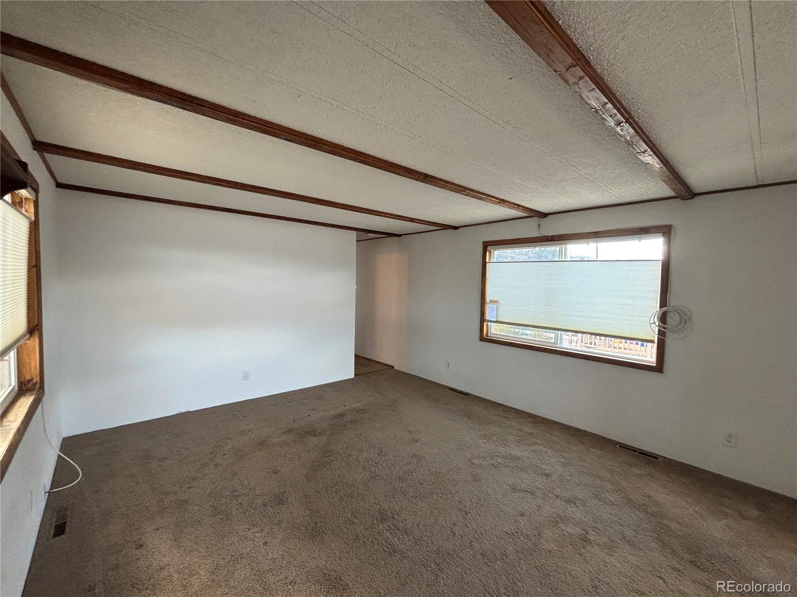 29600 County Road 353 Buena Vista CO 81211