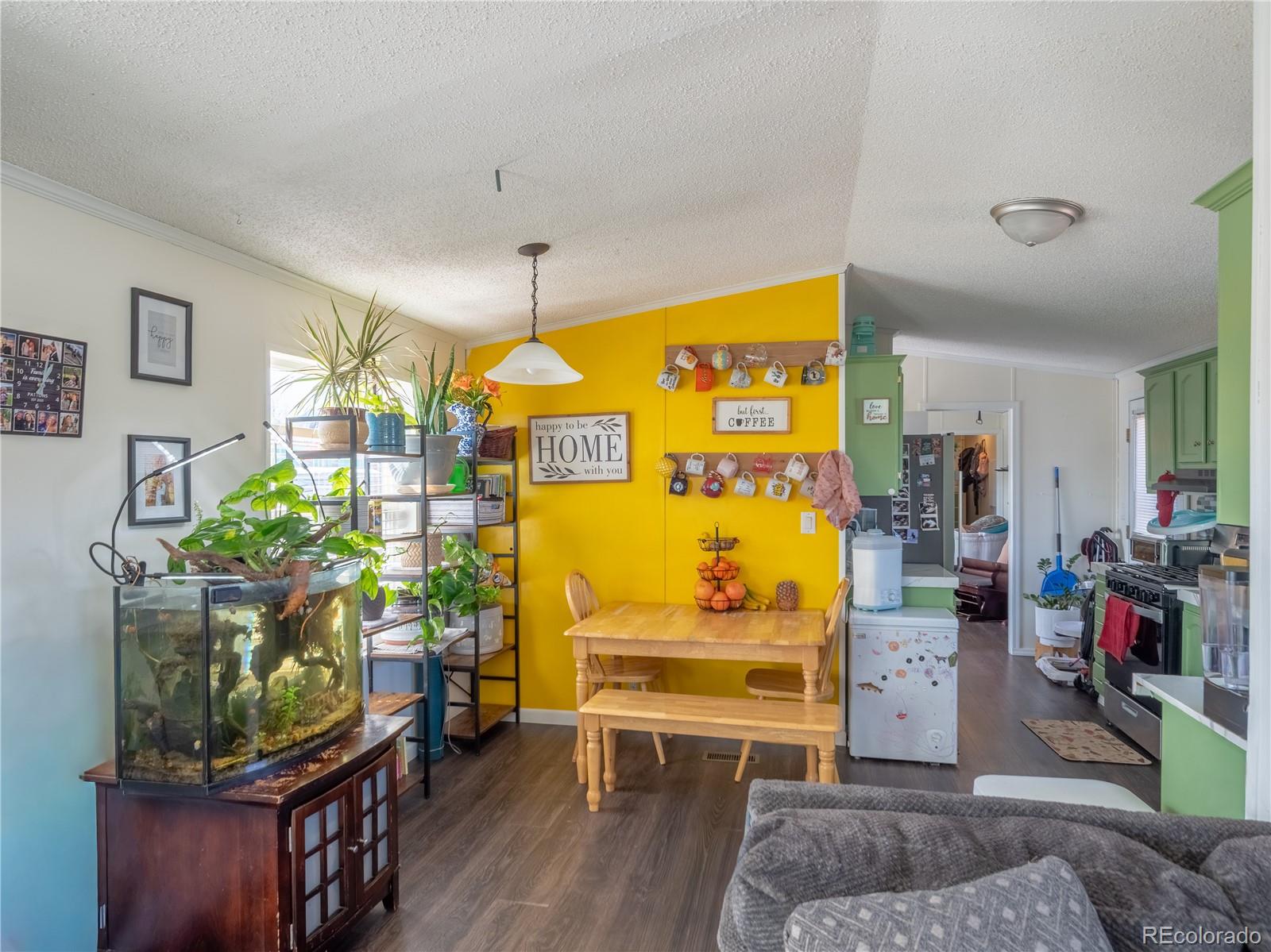 29600 County Road 353 Buena Vista CO 81211