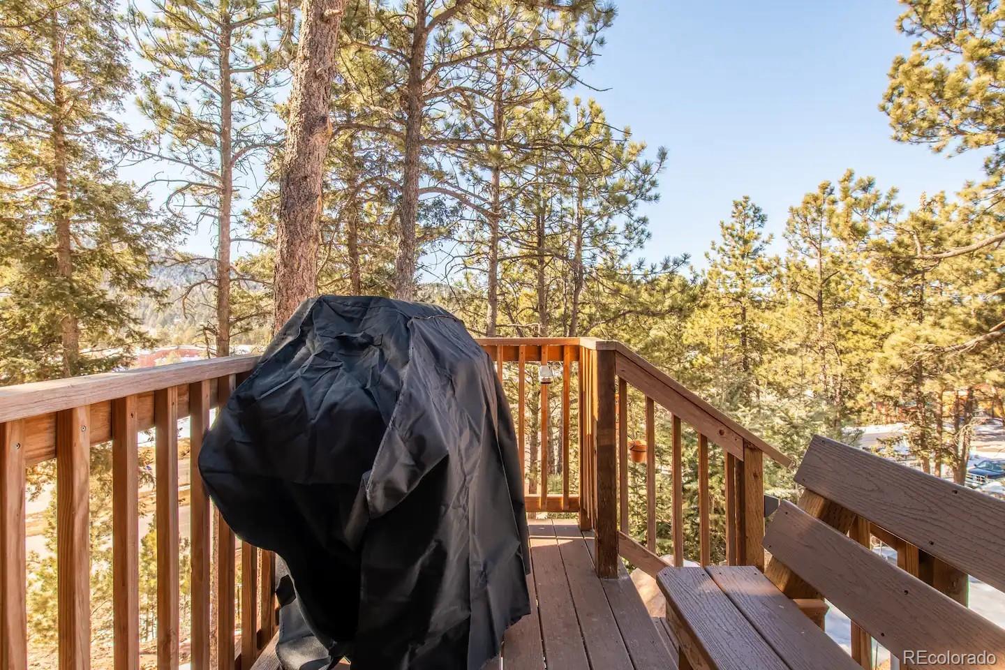 19253 E Highway 24 Woodland Park CO 80863