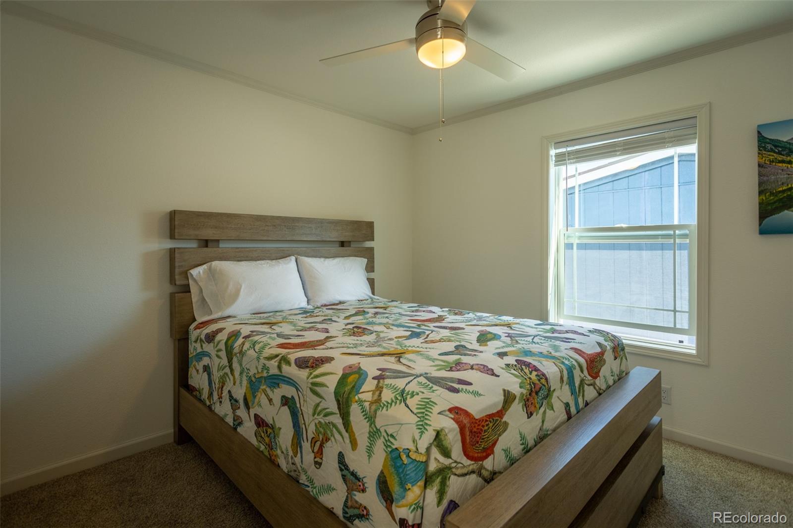 910 J Street Salida CO 81201