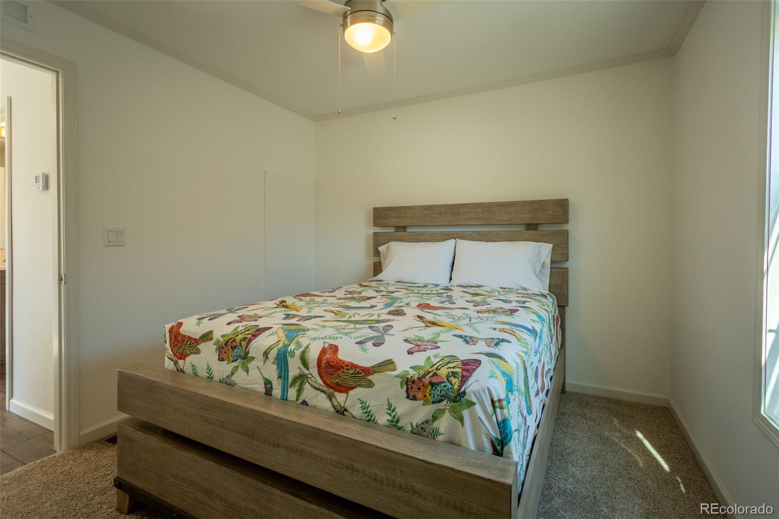 910 J Street Salida CO 81201