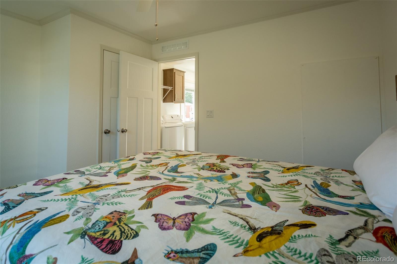 910 J Street Salida CO 81201