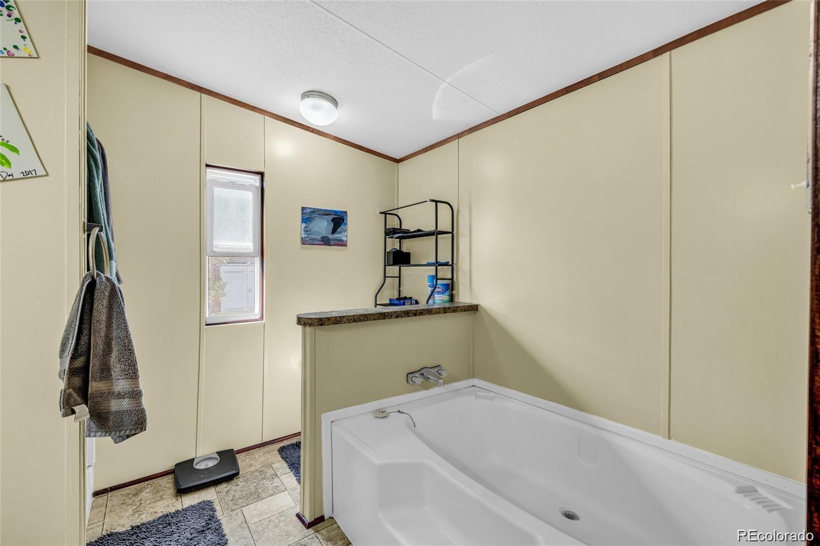 10 Jason Street Castle Rock CO 80109