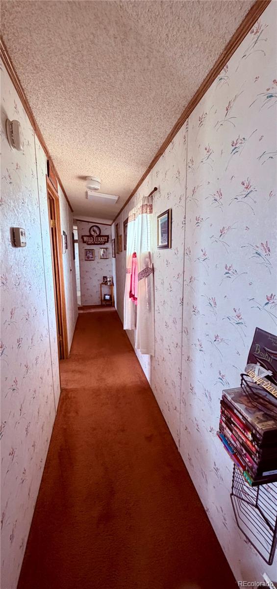 125 12th Street Fairplay CO 80440