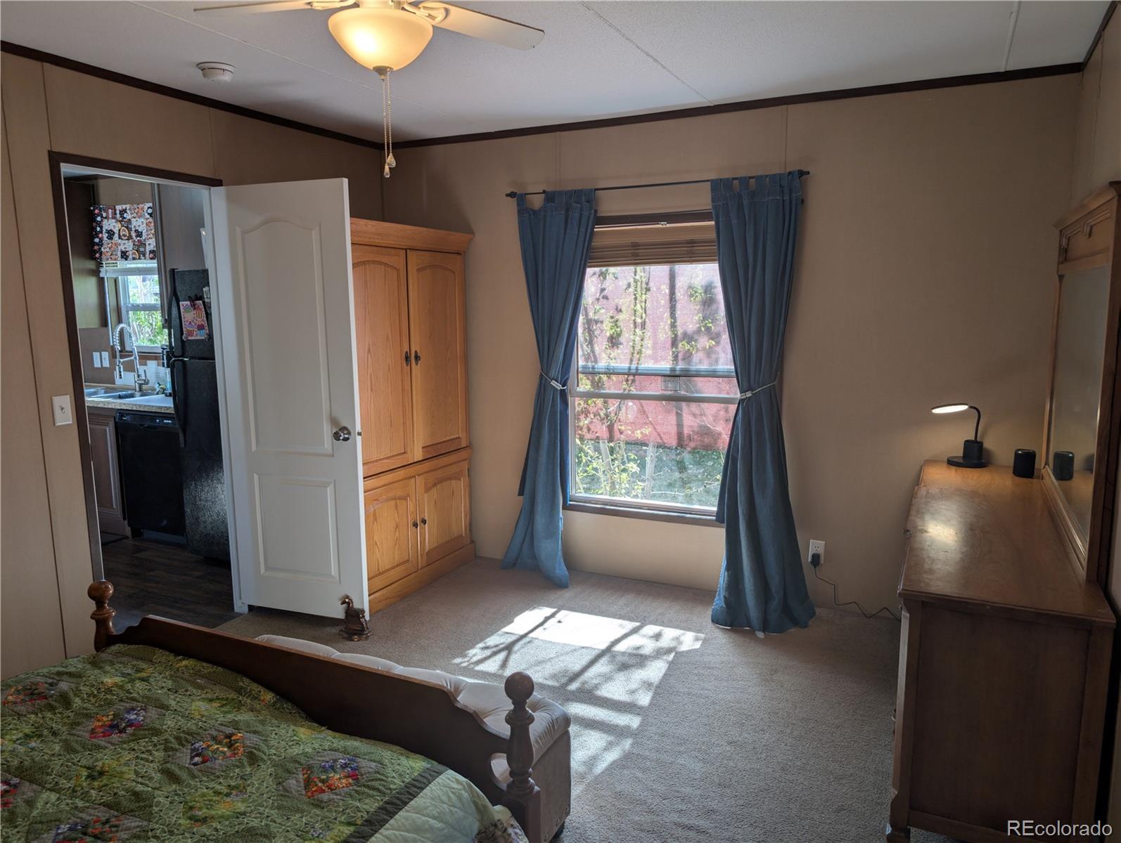 19 Danny Street Castle Rock CO 80109