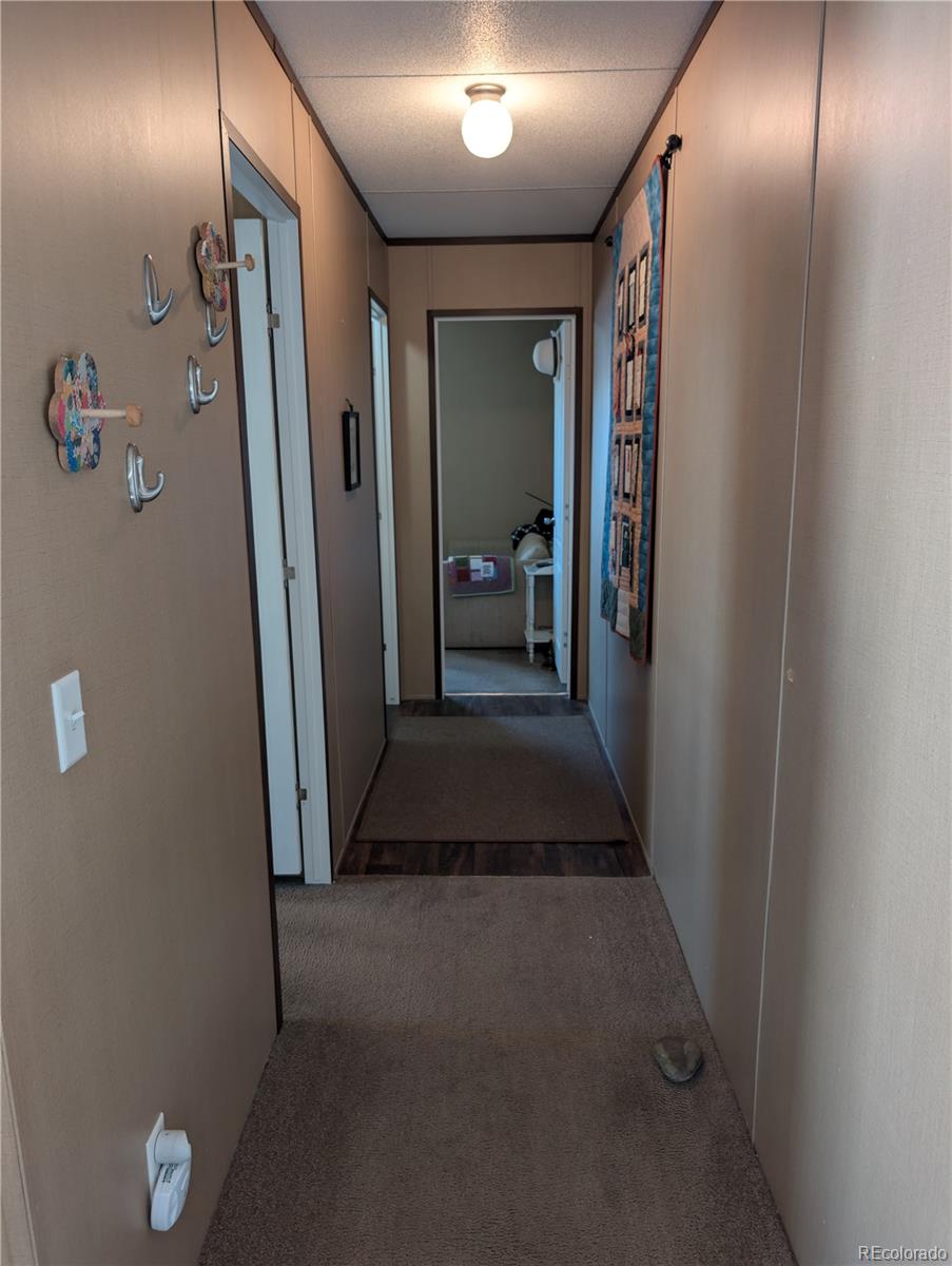 19 Danny Street Castle Rock CO 80109